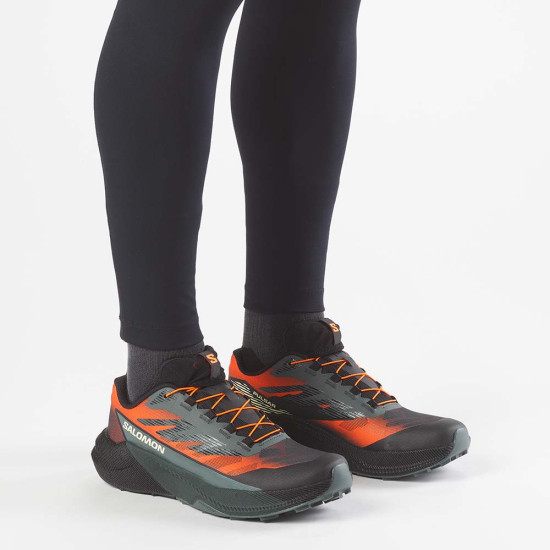 Salomon Pulsar Quiver